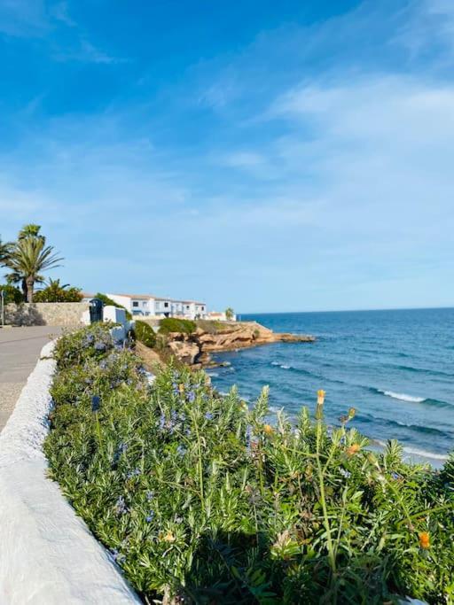 Casa De Flores Torrevieja Exteriör bild